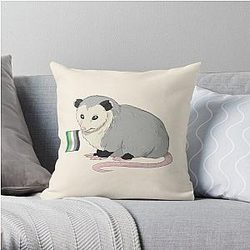Aromantische Kissen - Aromantic Pride Flag Opossum Throw Kissen RB1901