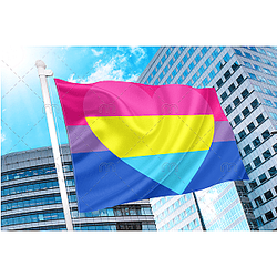 Panromántico bisexual Pride Flag Official Store PN2001