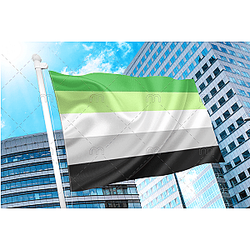 Aromantic Pride Flag Official Store PN2001