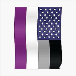 Asexual Flag Posters - Asexual American Flag Poster RB1901