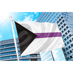 Demisexual Pride Flag Official Store PN2001