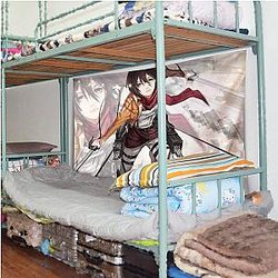Attack On Titan - Mikasa Ackerman Background Cloth