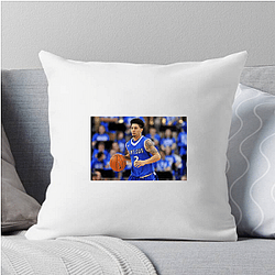 Viral Content Creator Austin Mcbroom Pillows Cover