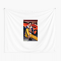 Brand Collaborator Austin Mcbroom Tapestries