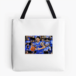 Viral Content Creator Austin Mcbroom Bags