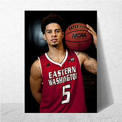ACE Family Co-Founder Austin Mcbroom Posters