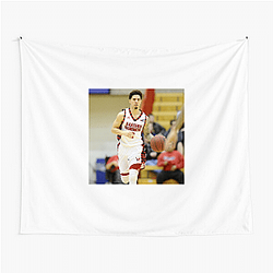 Controversy Magnet Austin Mcbroom Tapestries