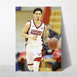 Controversy Magnet Austin Mcbroom Posters