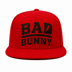 [Special Design] Snapback Trucker Summer Basic Logo DTNK2507 Bad Bunny Cap