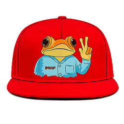 Peace Frog Snapback DTNK2507 Bad Bunny Caps
