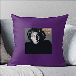 Barry Manilow's career took off in the 1970s Barry Manilow Pillows Cover