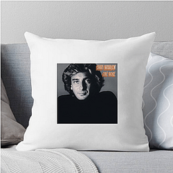 Barry Manilow's career took off in the 1970s Barry Manilow Pillows Cover