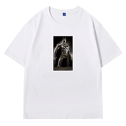Batman Arkham City was developed by Rocksteady Studios Batman Arkham City T-Shirts