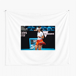Belinda Bencic The Queen of The Court Belinda Bencic Tapestries
