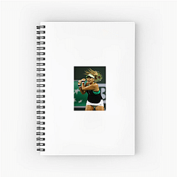 Belinda Bencic Beyond The Baseline Belinda Bencic Notebook