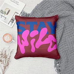 Limited Ben Azelart Pillows