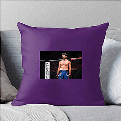 Durable Spirit Beneil Dariush Pillows Cover