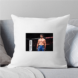 Durable Spirit Beneil Dariush Pillows Cover