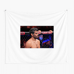 Submission Specialist Beneil Dariush Tapestries