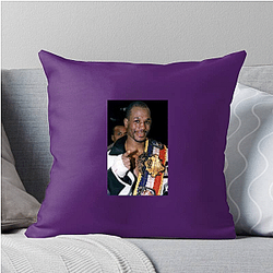 Defensive Genius Bernard Hopkins Pillows Cover