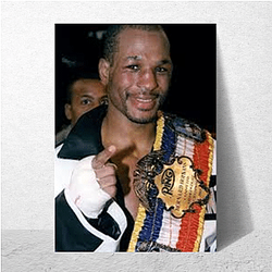 Defensive Genius Bernard Hopkins Posters