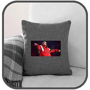 Berner Pillows Cover