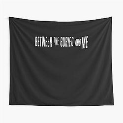 Between the Buried and Me - American progressive metal Tapestry