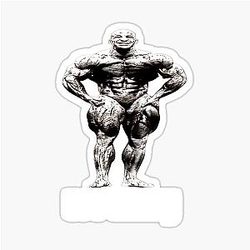 MR OLYMPIA BIG RAMY THE STICKER