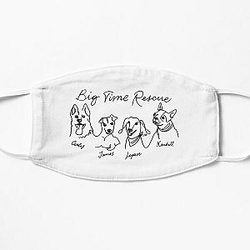 rescue 2021 big time rush btr Flat Mask RB2711