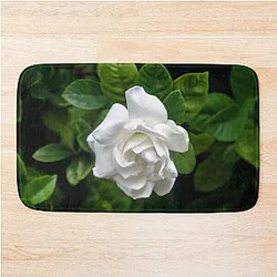 Remembering Billie Holiday Bath Mat



becomes:
 
Billie Holiday Bath Mat