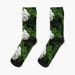Billie Holiday Socks