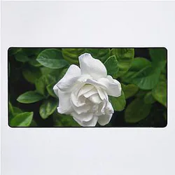 Remembering Billie Holiday Silk Mat