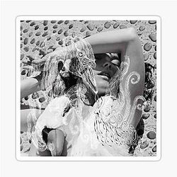 Björk Vespertine Sticker