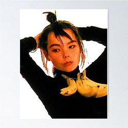 Bjork Poster