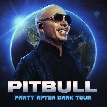 Party Anthems and Latin Beats The Secret Behind Pitbulls Hit Songs