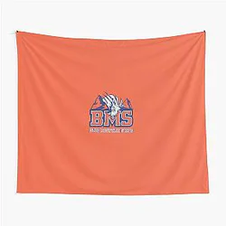 BMS Blue Mountain State Tapestry