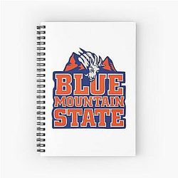 Retro Blue Mountain Spiral Notebook
