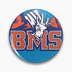 Blue Mountain State Tee Pin