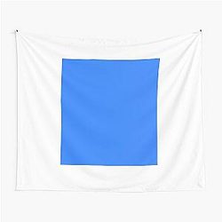 Simple Blue Box Tapestry