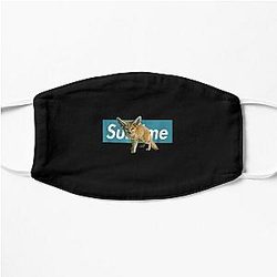 Fox Fennec Adorable Blue Box Flat Mask