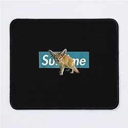Fox Fennec Adorable Blue Box Mouse Pad