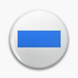 Simple Blue Box Pin