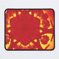 Boards of Canada Geogaddi Case