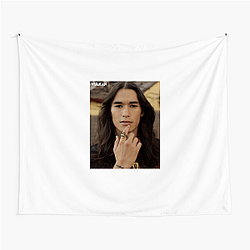 Booboo Stewart Inspired Drops Booboo Stewart Tapestries