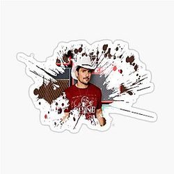 Brad Paisley Live Concert
