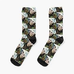 Brad Paisley Best Tour 2019-2020 Garpy Socks