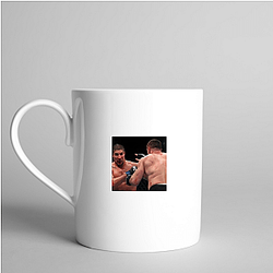 Cage Veteran Brendan Schaub Mugs