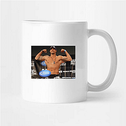 Fight Finisher Brendan Schaub Mugs
