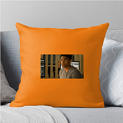 Brilliant Minds A True Masterpiece Brilliant Minds Pillows Cover