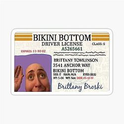 Brittany Broski Bikini Bottom License Sticker